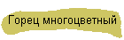 Горец многоцветный