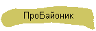 ПроБайоник